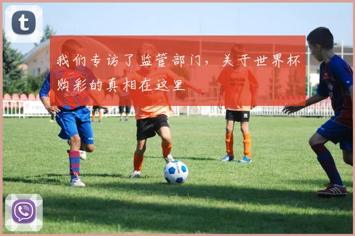 我们专访了监管部门，关于世界杯购彩的真相在这里