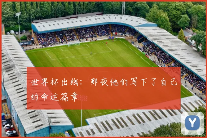 世界杯出线:那夜他们写下了自己的命运篇章