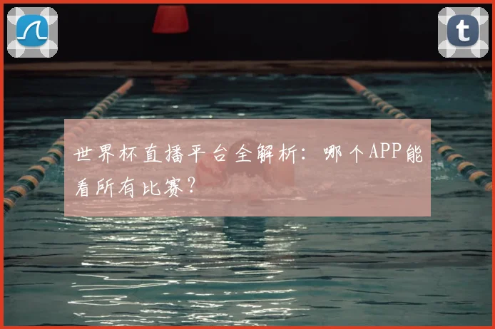 世界杯直播平台全解析：哪个APP能看所有比赛？