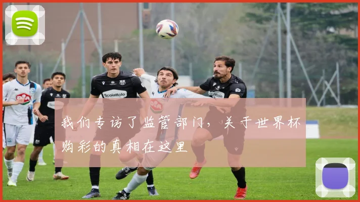 我们专访了监管部门，关于世界杯购彩的真相在这里