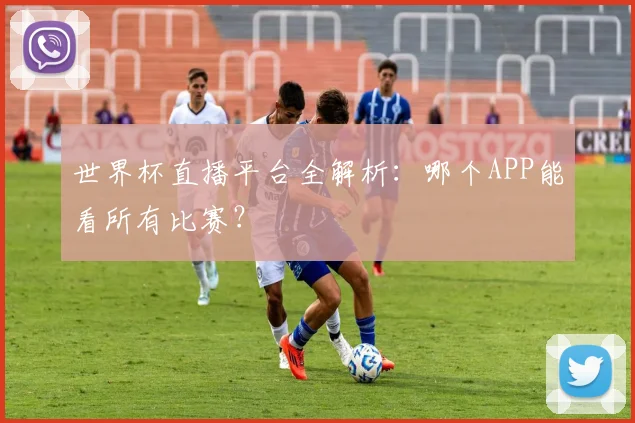 世界杯直播平台全解析：哪个APP能看所有比赛？