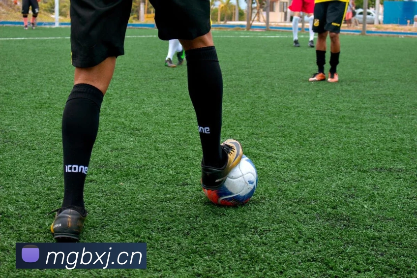 mk体育在线官网首页服务体系